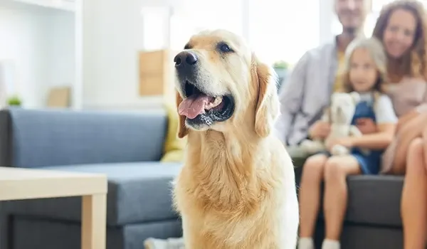 Featured Image of Pet-friendly Project in South Bangalore